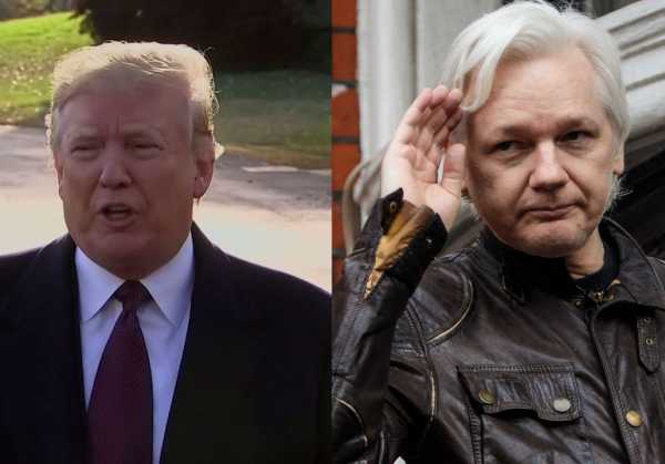 Donald Trump’s professions of ignorance about Julian Assange are very hard to believe