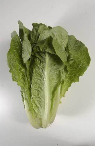 CDC expands warning to consumers over tainted romaine lettuce