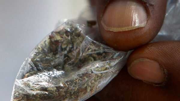 Fake pot likely tainted with rat poison kills 3, sickens 100
