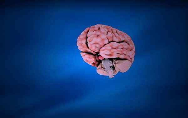 Scientists at Work to Devise Indian Brain Template