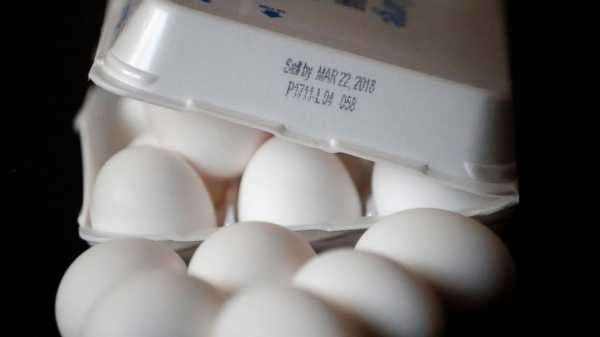 Arizona weighs unusual plan for longer egg expiration dates