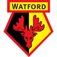 Abdoulaye Doucoure is an unheralded star for Watford