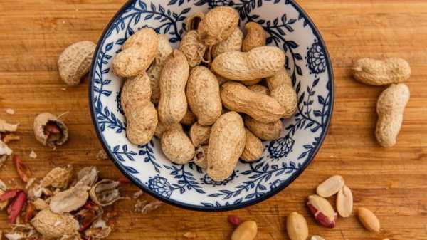 Allergy 'vaccine' suppresses the allergic response to peanuts in mice
