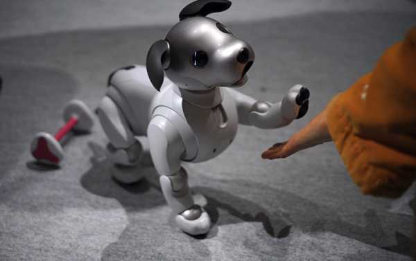 #PuppyLove Demand Outstrips Supply for New Robot-Dog in Japan