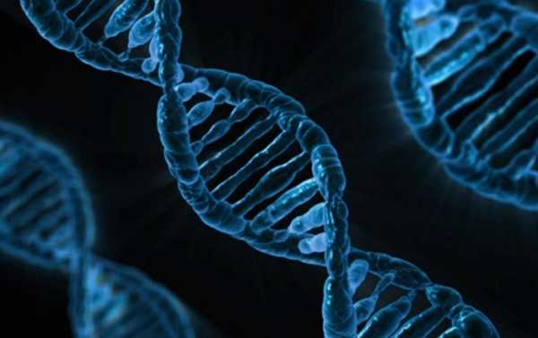 ‘It’s Now Possible to Sequence Human Genome for a Few Hundred Dollars’ – Prof
