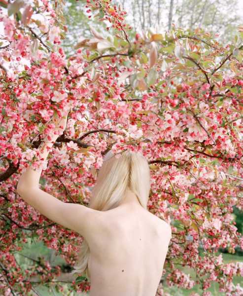 Jocelyn Lee’s Painterly Portraits of Nudes Immersed in Nature | 