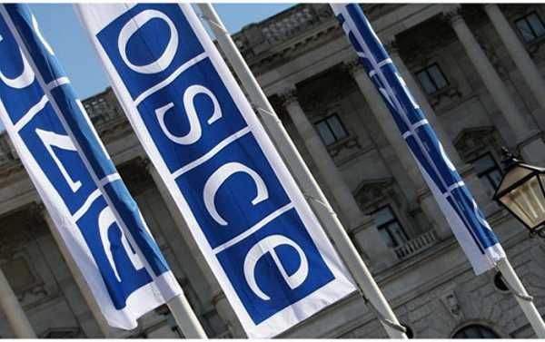Moscow Lawmakers Slam OSCE Draft Resolution on Human Rights in Russia