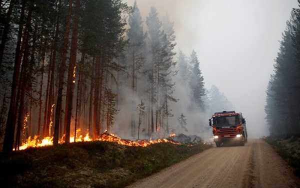WATCH Sweden Fight 'Most Serious Wildfire Situation of Modern Times'