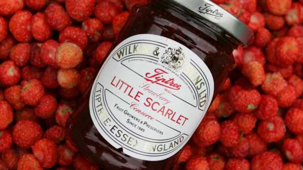 A Book Critic and a Food Critic Consider Philip Roth’s Favorite Strawberry Jam | 