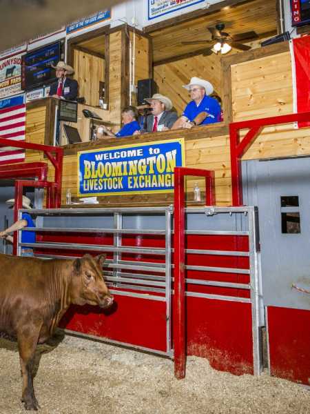 The Hypnotizing Chants of Champion Livestock Auctioneers | 