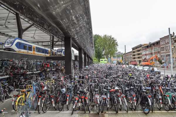 No helmets, no problem: how the Dutch created a casual biking culture