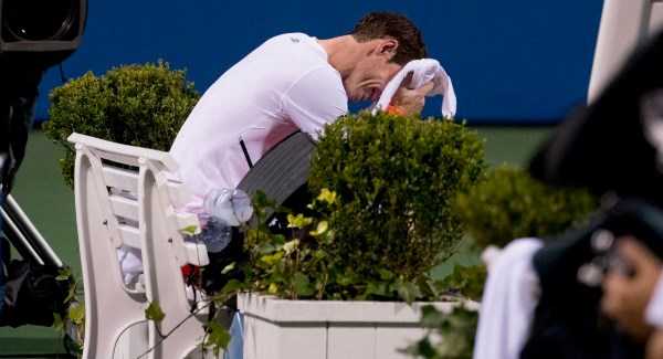 Andy Murray in tears after gruelling victory over Marius Copil