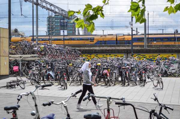 No helmets, no problem: how the Dutch created a casual biking culture