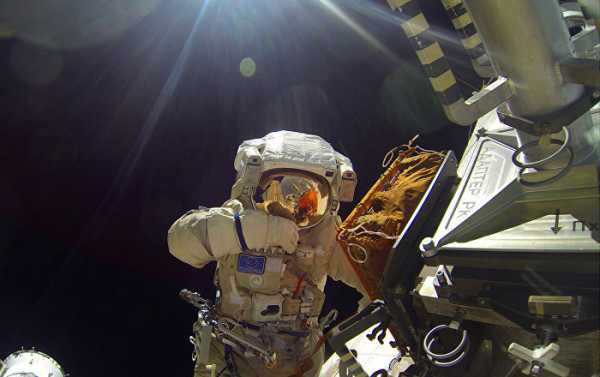 WATCH: Russian Cosmonauts Install Animal Tracking Antenna on ISS