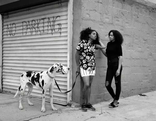 What Life in New York City Looks Like with a Great Dane | 