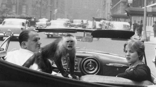 How Garry Winogrand Transformed Street Photography | 