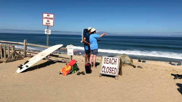 A Deadly Shark Attack at a Beach on Cape Cod That I Know Well | 