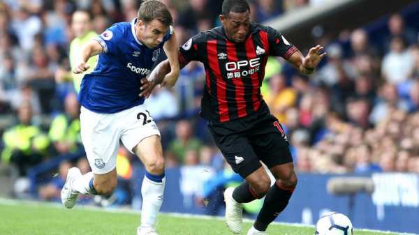 Premier League stats: Aleksandar Mitrovic scores again as Everton reach 200 Premier League draws