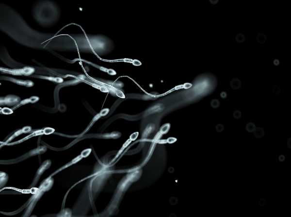 Sperm counts are falling. This isn’t the reproductive apocalypse — yet.