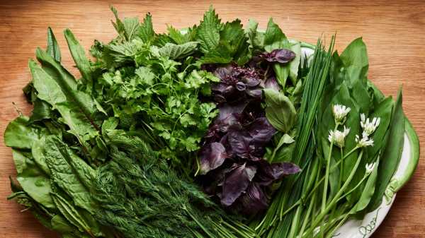 A Case for Eating Herbs as if They Were Vegetables | 