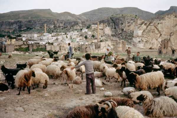 What Ara Güler, “The Eye of Istanbul,” Saw in His Homeland | 