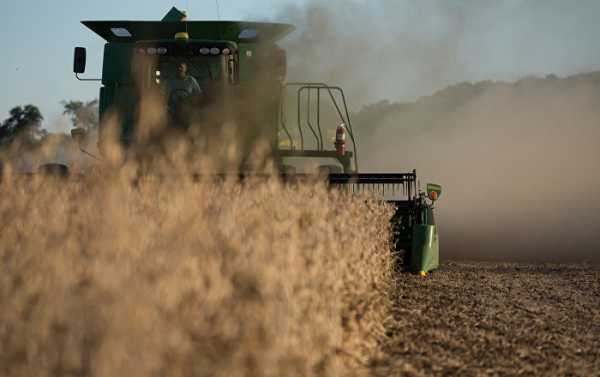 US Soybean Farmers Struggle to Break Even as US-China Trade Row Deepens
