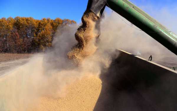 China Quickly Replaced US Soybean Imports Halted by Trade War