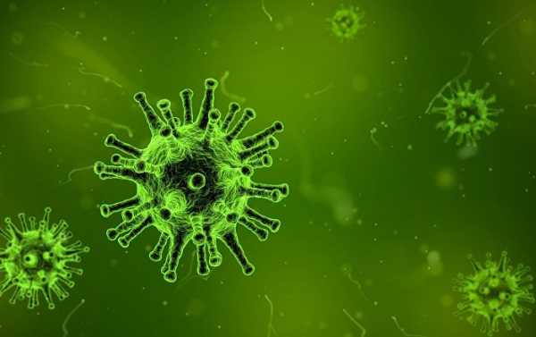 Scientists Develop New Composition Against Influenza A Virus