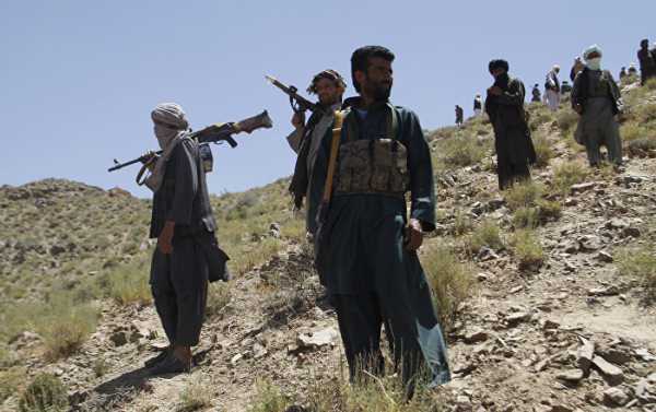 Afghan Military Says Over 50 Taliban Militants Killed Over Past Day - Reports