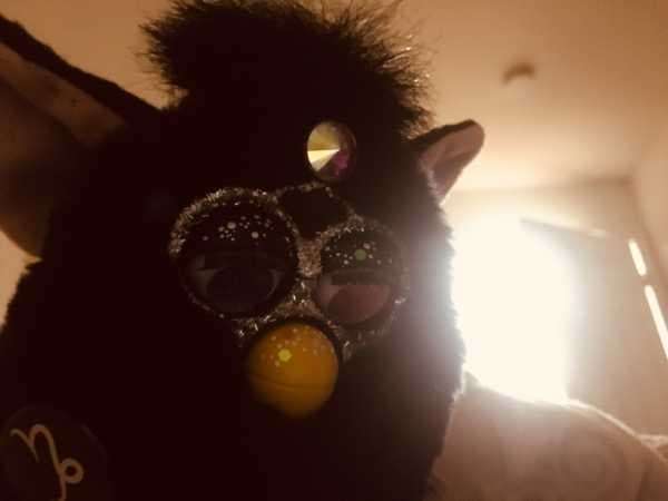 Meet the Furby collectors of Tumblr
