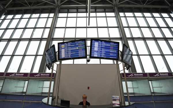 Japan's ANA Plans to Organize Regular Flights to Moscow, Vladivostok - Reports