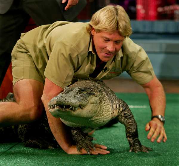 Steve Irwin said, "My mission ... is to save wildlife." He did.