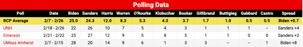 The one big takeaway from every 2020 Democratic primary poll