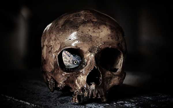 Thor Heyerdahl's Son to Return Sacred Skulls to Easter Island (PHOTO)