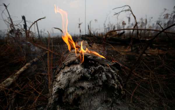 EU States May Hesitate to Ratify EU-Mercosur Deal If Brazil Ignores Rainforest Fires - Tusk