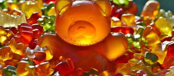 Haribo at War With Alco Gummy Bears from Spain
