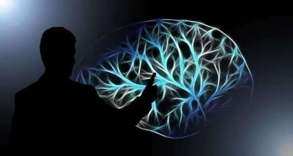 Learning Artificial Words Leads to Discovery of Previously Unknown Memory Mechanism