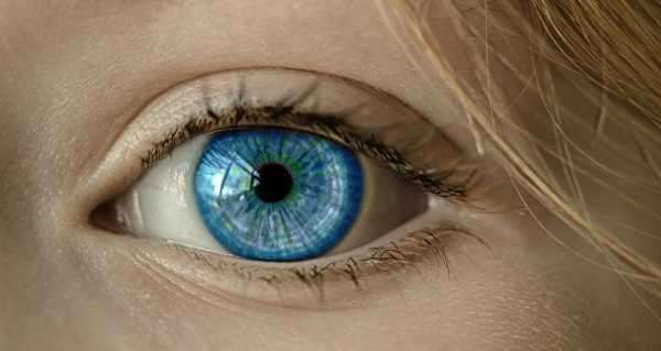 Scientists Combine Brain Magnetic Fields, Eye-Tracking to Control Computers