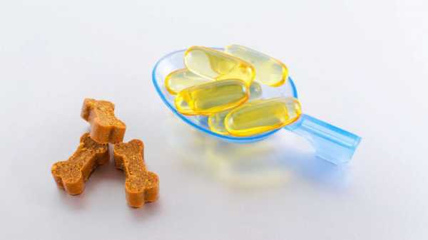 More than 60 Omega-3 dog and cat supplements recalled