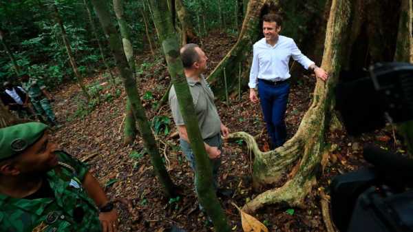 At Gabon talks, a debate on who pays to save world’s forests