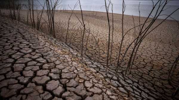 Drought-struck Barcelona quenches thirst with costly desalination