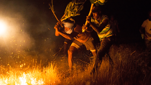 Climate and Conflict Converge in “The Fire Brigade”