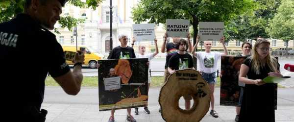 Greenpeace protests mass logging of old-growth forests in Carpathian Mountains