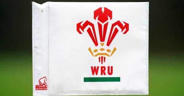 WRU criticised for ‘serious failure of governance’ over misconduct allegations