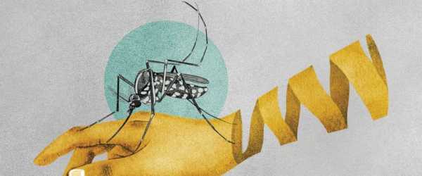 As temperatures rise, mosquitoes are also on the move. Scientists worry that could mean more malaria