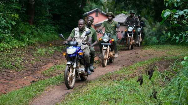 A Nigerian forest and its animals are under threat. Poachers have become rangers to protect both