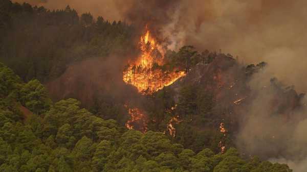 Firefighters battle smoke and heat to control a major wildfire in Spain’s tourist island of Tenerife