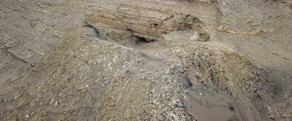 The heaviest animal ever may be this ancient whale found in the Peruvian desert