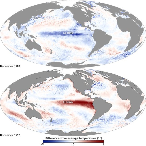 Maps showing Pacific Ocean temperatures during the 1988 La Nina and the 19997 El Nino. 