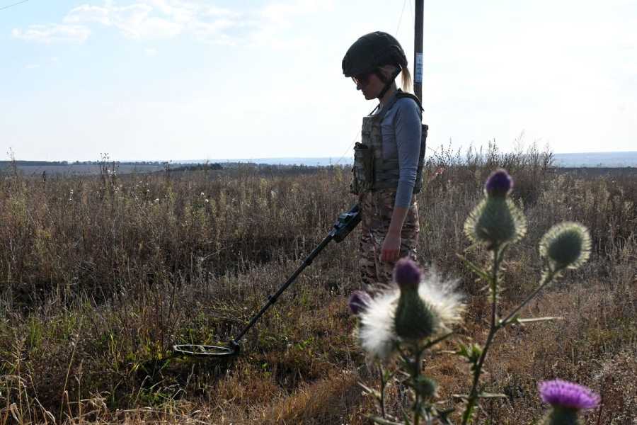 A person in a field with a metal detector.